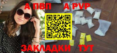 стаф Гудермес