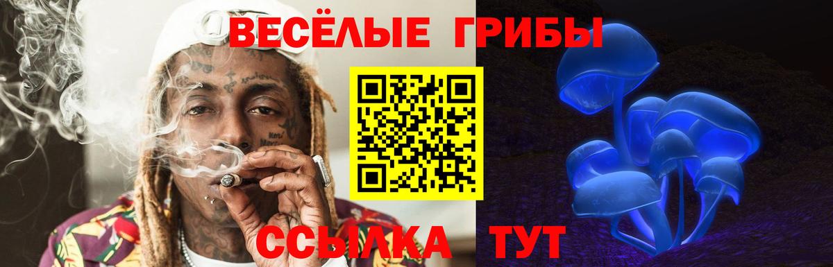 Рославль  сколько стоит  Псилоцибиновые грибы Cubensis  Вход с VPN  Галлюциногенные грибы мицелий 
